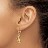 14k Yellow Gold Dangle Earrings, Golf Bag and Clubs Design, Leverback Sports Theme for Women