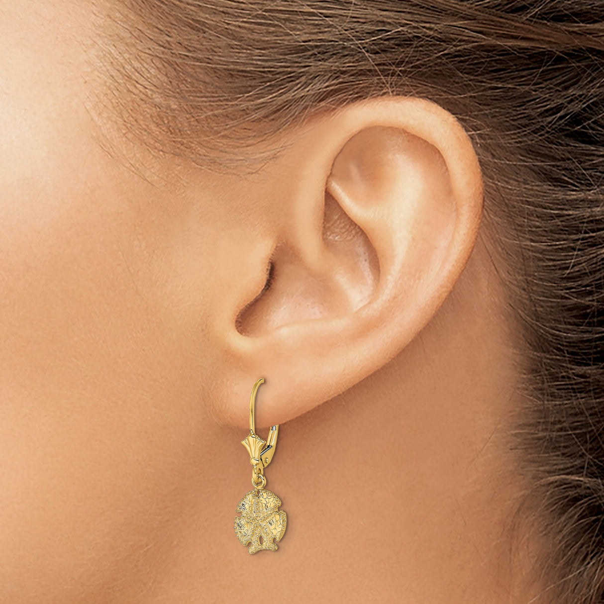 14k Yellow Gold Dangle Earrings with Sand Dollar Design, Nautical Coastal Style for Women