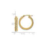 14k Two-Tone Gold Hoop Earrings with Beaded Design and Diamond Cut Stripe for Women