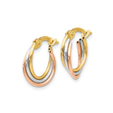 14k Tri Color Gold Hoop Earrings, Oval Twist Intertwined Design for Women