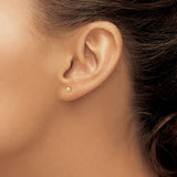 14k Yellow Gold Stud Earrings, Round Diamond Cut Design with High Polish Finish