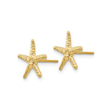 14k Yellow Gold Starfish Stud Earrings, Textured Nautical Coastal Theme for Women