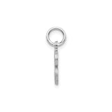 14k White Gold Script Letter S Pendant, Polished and Textured Finish, Monogram Charm for Women
