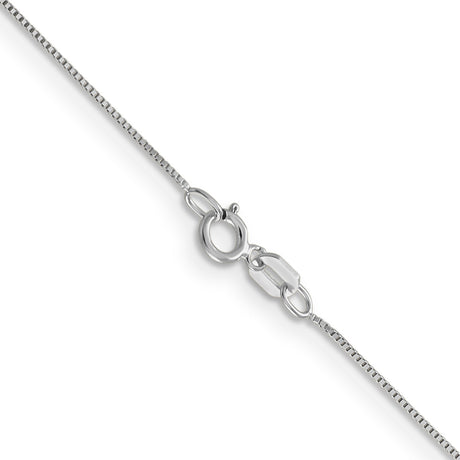 14K White Gold 0.5 mm Box Chain Anklet, Polished alternate angle