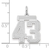 Medium Satin Number 43 Charm Pendant in Real 14k White Gold