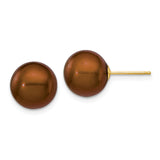 14k Yellow Gold Stud Earrings with Brown Freshwater Cultured Pearls, Classic Design for Women