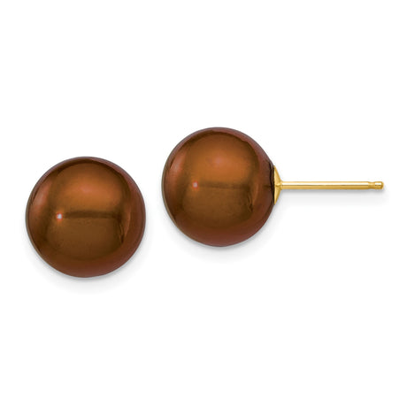14k Yellow Gold Stud Earrings with Brown Freshwater Cultured Pearls, Classic Design for Women