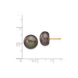 14k Yellow Gold Stud Earrings with Black Cultured Pearl, Classic Minimalist Style for Women