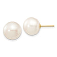 14k Yellow Gold Pearl Stud Earrings, Classic Round White Cultured Pearls for Women