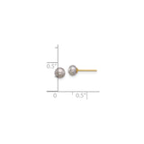 14k Yellow Gold Stud Earrings with Gray Freshwater Pearls, Classic Minimalist Design for Women
