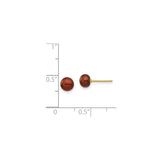 14k Yellow Gold Pearl Stud Earrings, Cultured Brown Round Pearls, Classic Polished Finish