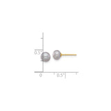 14k Yellow Gold Stud Earrings with Round White Cultured Freshwater Pearls for Women
