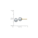 14k Yellow Gold Stud Earrings with Round White Cultured Pearls, Classic Minimalist Style