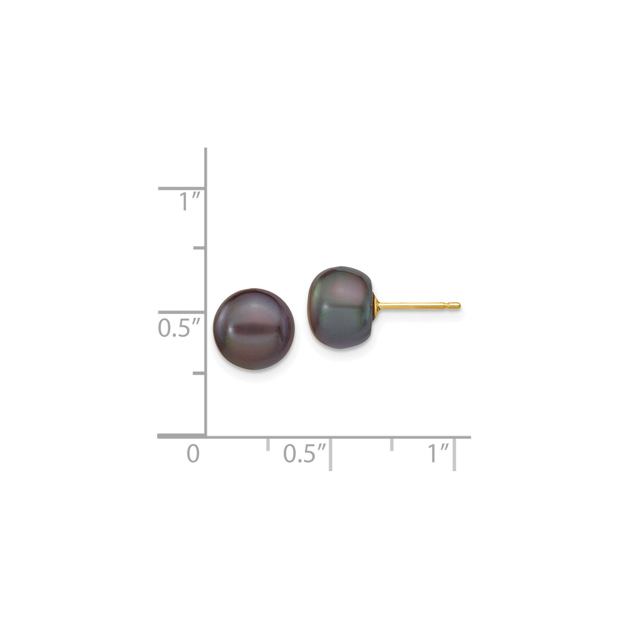 14k Yellow Gold Stud Earrings with Black Cultured Pearls, Button Freshwater Design