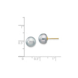 14k Yellow Gold Stud Earrings with Round Gray Cultured Pearls, Minimalist Classic Style for Women