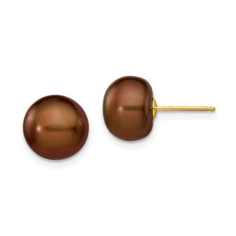 14k Yellow Gold Stud Earrings with Chocolate Brown Cultured Pearls, Minimalist Style for Women