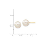 14k Yellow Gold Pearl Stud Earrings with Round White Cultured Pearls, Classic Design for Women