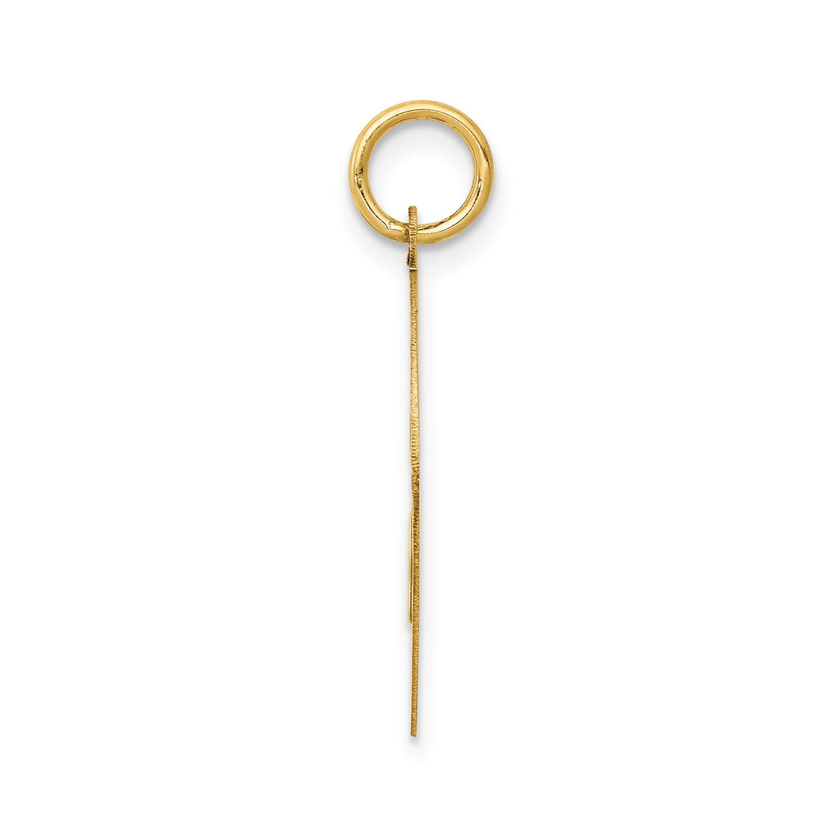 14k Yellow Gold Yorkshire Terrier Pendant, Unisex Dog Memorial Charm for Necklace or Bracelet