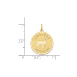 14k Yellow Gold Labrador Retriever Pendant, Dog Disc Charm, Pet Tribute Jewelry