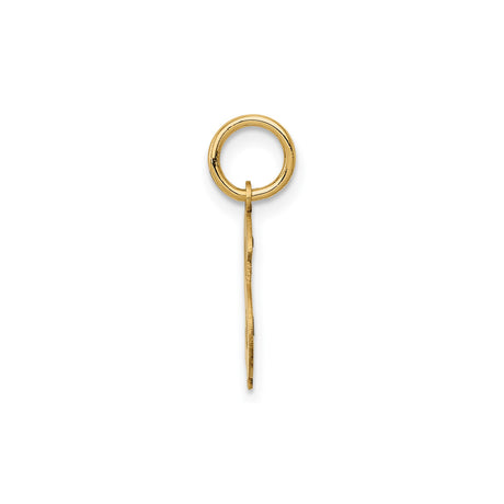 14k Yellow Gold Dollar Sign Pendant, Polished Hip Hop Money Charm for Men or Women