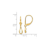 14k Yellow Gold Drop Earrings with Oval White Opal in Bezel Setting, Leverback Design for Women