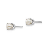 14k White Gold Pearl Stud Earrings with Round White Pearls, Classic Minimalist Design