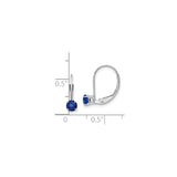 14k White Gold Leverback Drop Earrings with Sapphire, Minimalist Dangle Design for Women