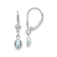 14k White Gold Dangle Earrings with Oval Aquamarine, Leverback, March Birthstone Jewelry for Women