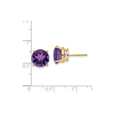 14k Yellow Gold Stud Earrings with Round Amethyst in Four Prong Setting