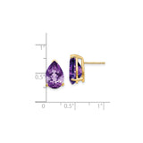14k Yellow Gold Pear Shaped Amethyst Stud Earrings, Three Prong Setting, February Birthstone Jewelry