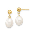 14k Yellow Gold Dangle Earrings with White Freshwater Pearls, Minimalist Drop Design for Women