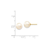 14k Yellow Gold Pearl Stud Earrings, Classic Round White Cultured Pearls for Women