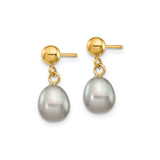 14k Yellow Gold Dangle Earrings with Gray Freshwater Pearls, Minimalist Drop Design