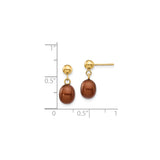 14k Yellow Gold Dangle Earrings with Pearl and Brown Oval Beads, Drop Style Jewelry for Women