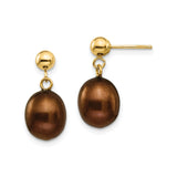 14k Yellow Gold Dangle Earrings with Brown Oval Freshwater Pearls, Polished Drop Design