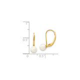 14k Yellow Gold Leverback Earrings with White Pearl Drops, Classic Round Pearl Design