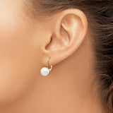 14k Yellow Gold Leverback Earrings with White Pearls, Classic Drop Design for Women