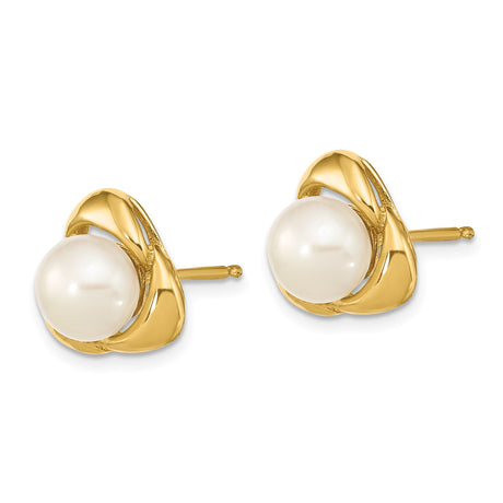 14k Yellow Gold Trinity Knot Stud Earrings with White Freshwater Cultured Pearl