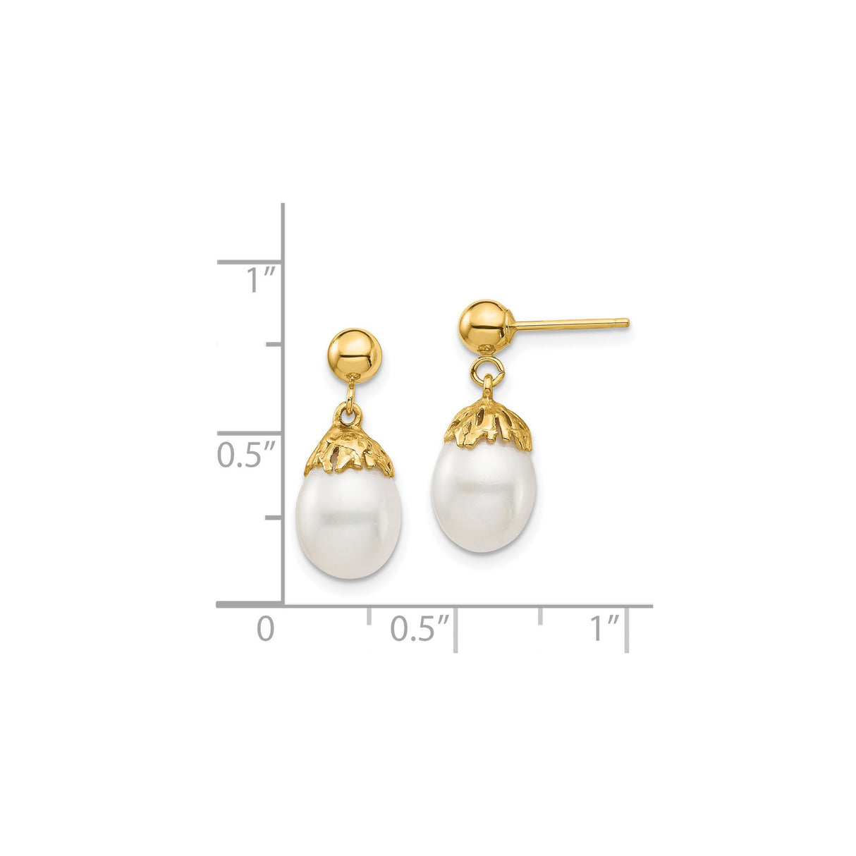 14k Yellow Gold Drop Earrings with White Freshwater Pearls, Textured Cap Design, Bridal Style