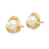 14k Yellow Gold Stud Earrings with Round White Cultured Pearls, Modern Swirl Design