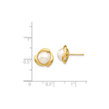 14k Yellow Gold Stud Earrings with Round White Cultured Pearls, Modern Swirl Design