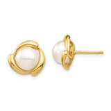 14k Yellow Gold Stud Earrings with Round White Cultured Pearls, Modern Swirl Design