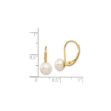 14k Yellow Gold Dangle Earrings with White Cultured Freshwater Pearls, Leverback Design