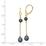 14k Yellow Gold Dangle Earrings with Black Freshwater Pearls, Delicate Chain Drop Design