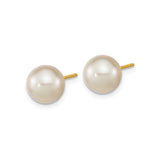 14k Yellow Gold Pearl Stud Earrings with White Cultured Pearls, Classic Minimalist Style