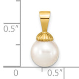 14k Yellow Gold Pendant with White Cultured Pearl, Shell Cap Detail, Classic Design