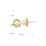 14k Yellow Gold Pearl Stud Earrings with Round White Akoya Pearls, Classic Swirl Design