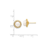 14k Yellow Gold Stud Earrings with Round White Cultured Pearls and Diamond Halo