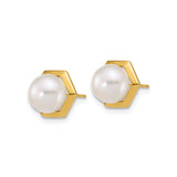 14k Yellow Gold Stud Earrings with Round White Cultured Pearls, Modern Hexagon Design