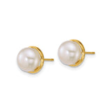 14k Yellow Gold Pearl Stud Earrings with Round White Cultured Pearls in Bezel Setting
